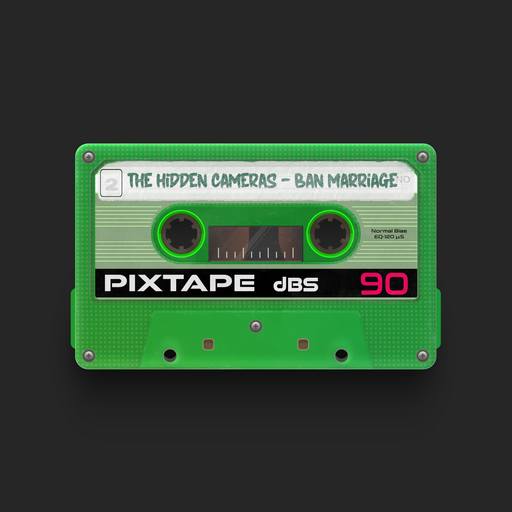 06220 - The Hidden Cameras - Ban Marriage